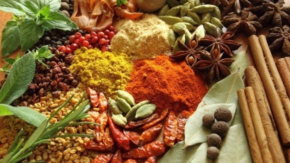برترین گیاهان دارویی