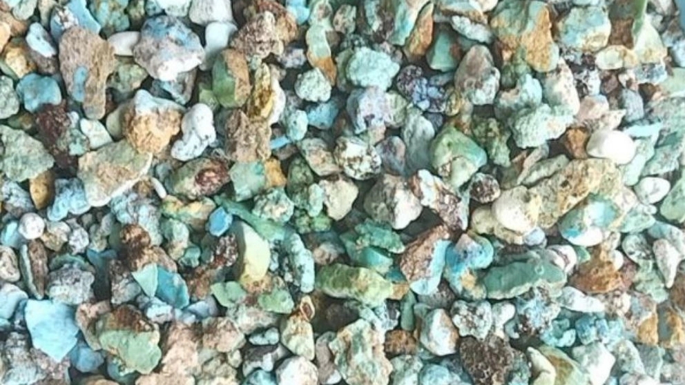 سنگ فیروزه نیشابوری عجمی و شجر نیشابوری