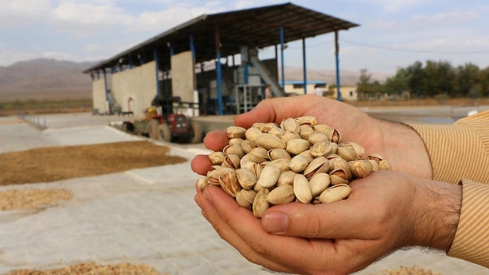 مکانیک پسته جنگجو، کارگاه آب خندان پسته در رفسنجان
