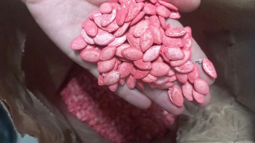 بذر کدو هیبریدی گلوبال