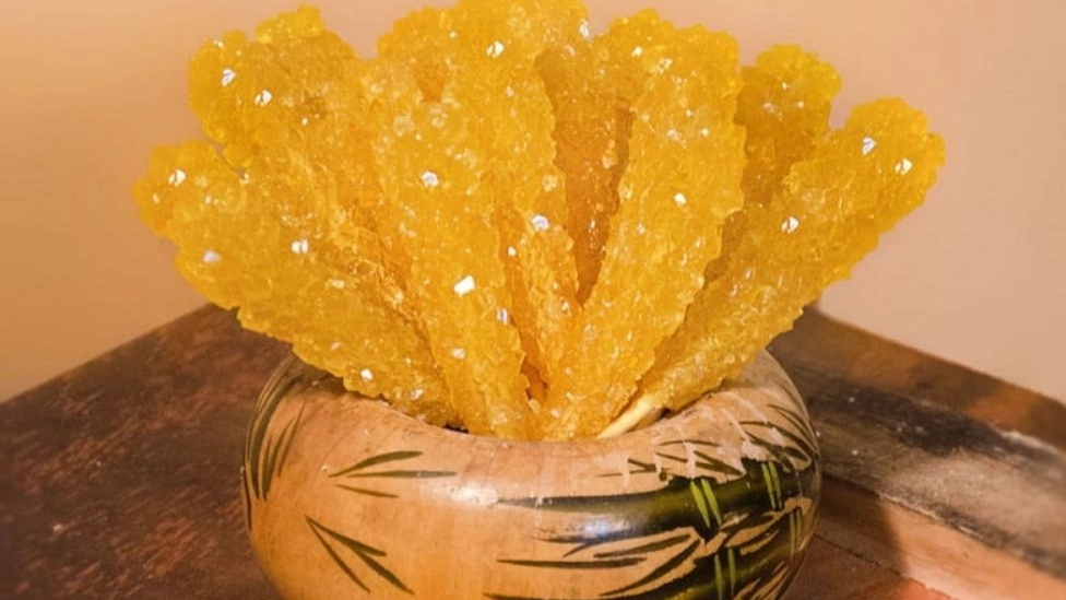 خاصیت درمانی نبات