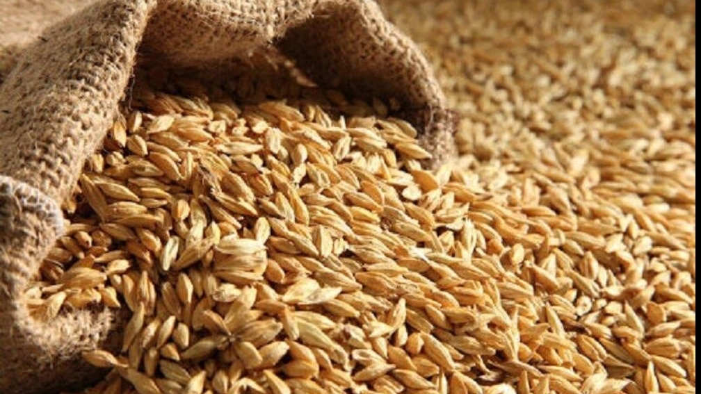 منابع پر اهمیت غذایی دام