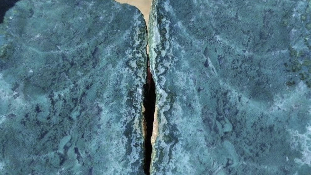 سنگ شجر و خواص آن