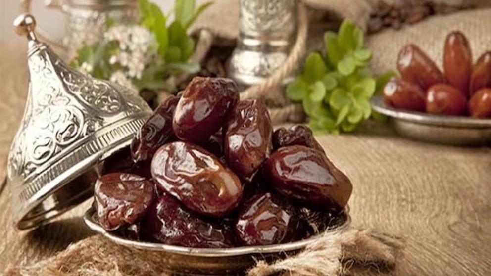 شهداد خرما، فروش عمده و صادرات خرما در تهران