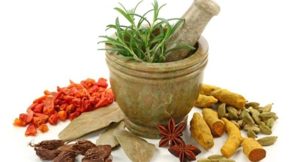 گیاهان دارویی سینا، فروش عمده و صادرات گیاهان دارویی در شهر کرد