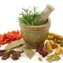 گیاهان دارویی سینا، فروش عمده و صادرات گیاهان دارویی در شهر کرد