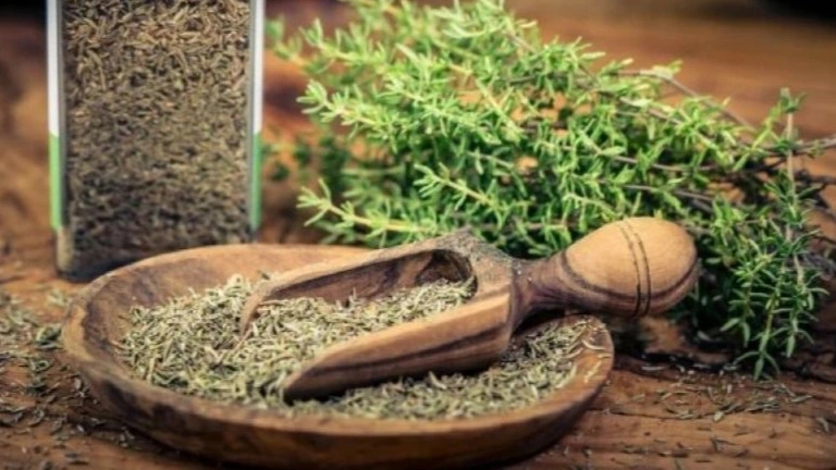 بازرگانی آذری، فروش عمده و صادرات گیاهان دارویی در شیراز