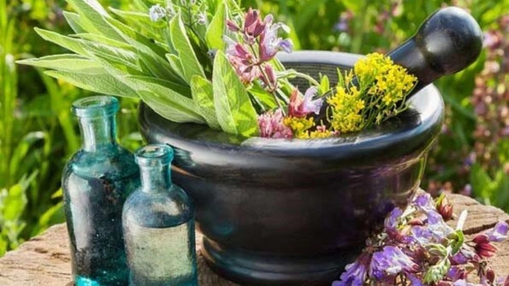 کاربرد تجاری گیاهان دارویی