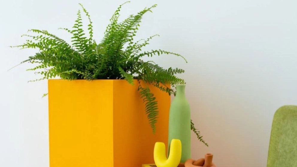 طراحان لوفا، طراحی و اجرای فضاهای سبز در تهران