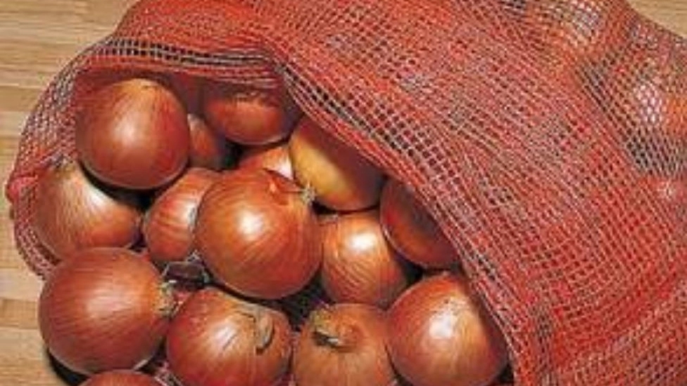کیسه توری راشل