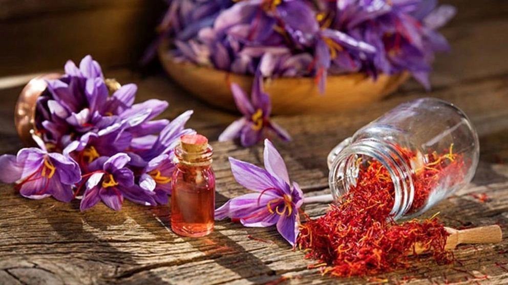 بررسی خواص زعفران