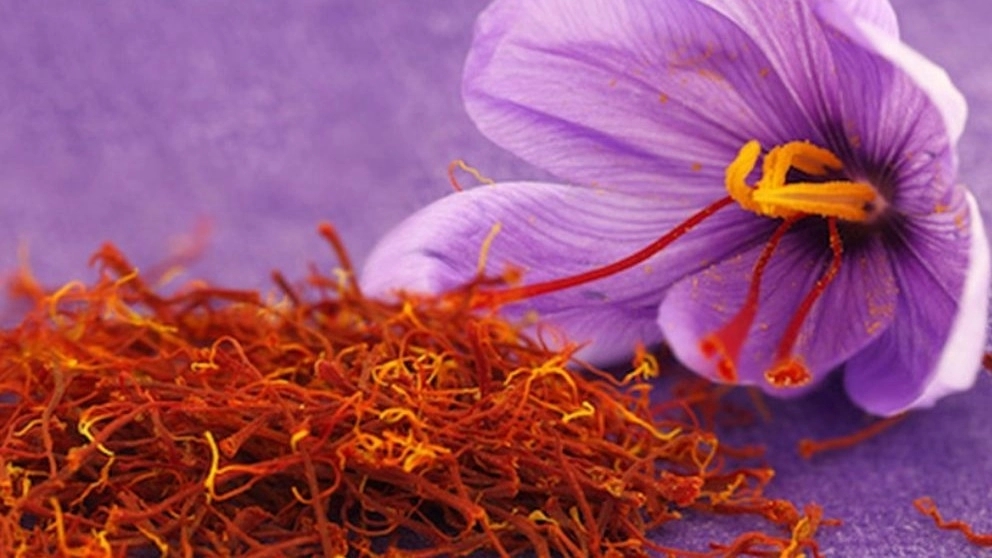 روش‌های سنتی تشخیص کیفیت زعفران