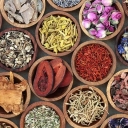 گیاهان دارویی دیلان، فروش عمده و صادرات گیاهان دارویی در کردستان