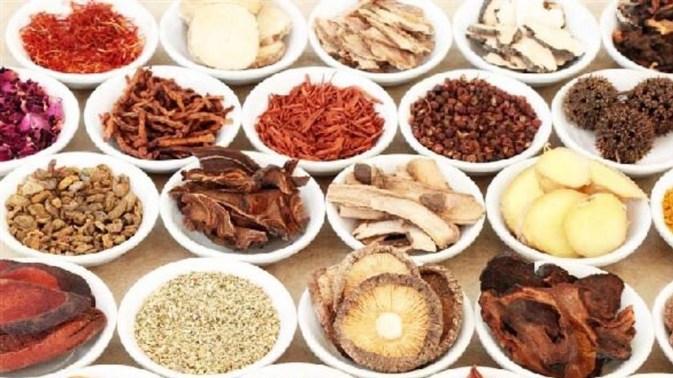 گیاهان دارویی دیلان، فروش عمده و صادرات گیاهان دارویی در کردستان