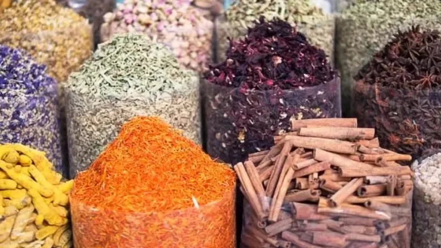 اهمیت گیاهان دارویی در زندگی انسان