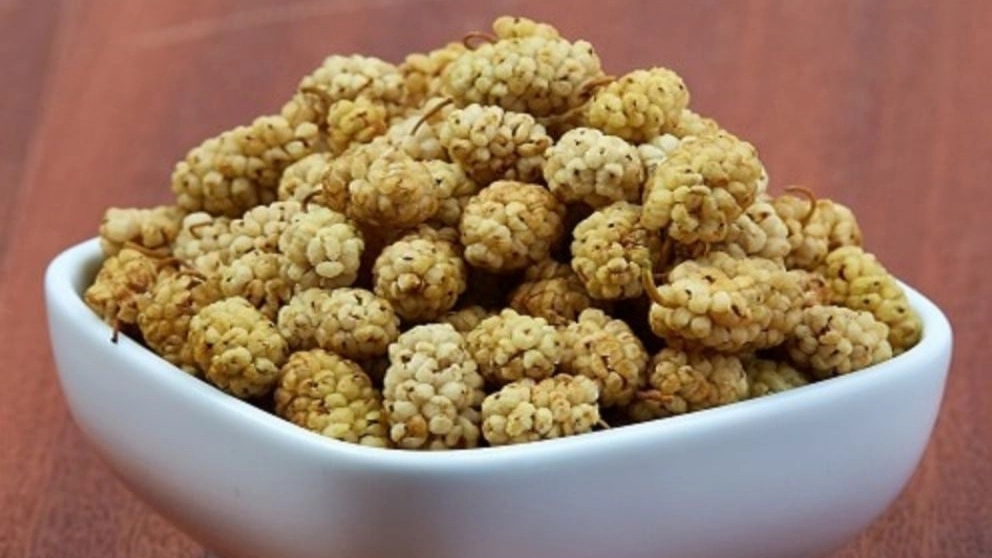 خواص توت خشک