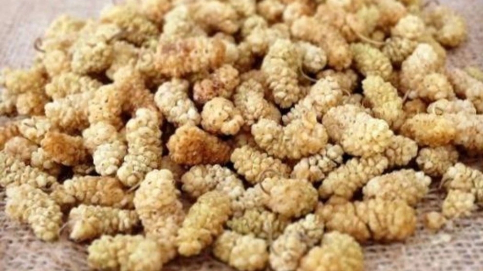 خواص توت خشک