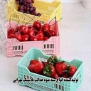 عدالت پلاستیک محرابی، تولید انواع سبد میوه در اصفهان