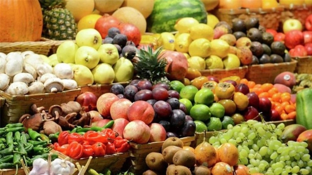 بی بی فروت، صادرات میوه و تره‌ بار در ساری