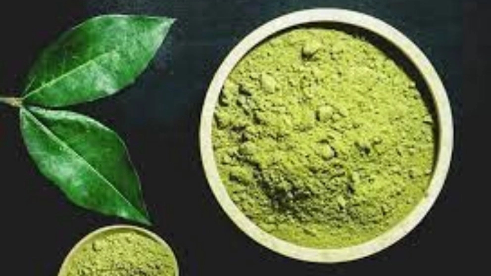 بازرگانی عظیم پور، فروش عمده و صادرات حنا سبز و مشکی در یزد