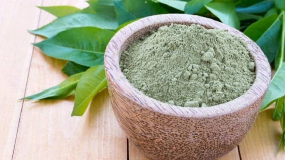 طرز تهیه ماسک خانگی بی‌نظیر با حنا برای رشد مو