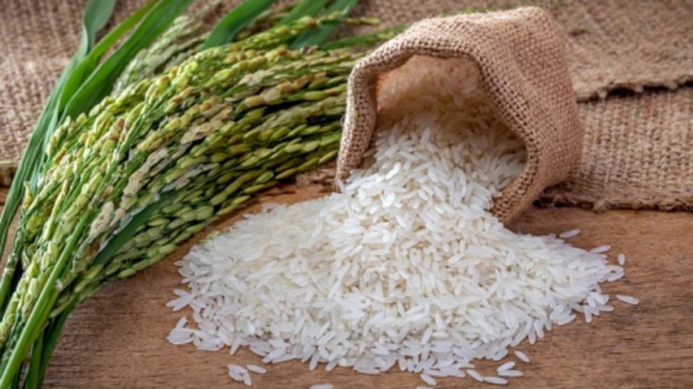 بررسی تفاوت برنج ایرانی و خارجی