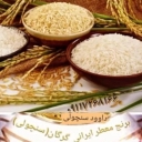 برنج داوود، فروش برنج با کیفیت شمالی در مینودشت