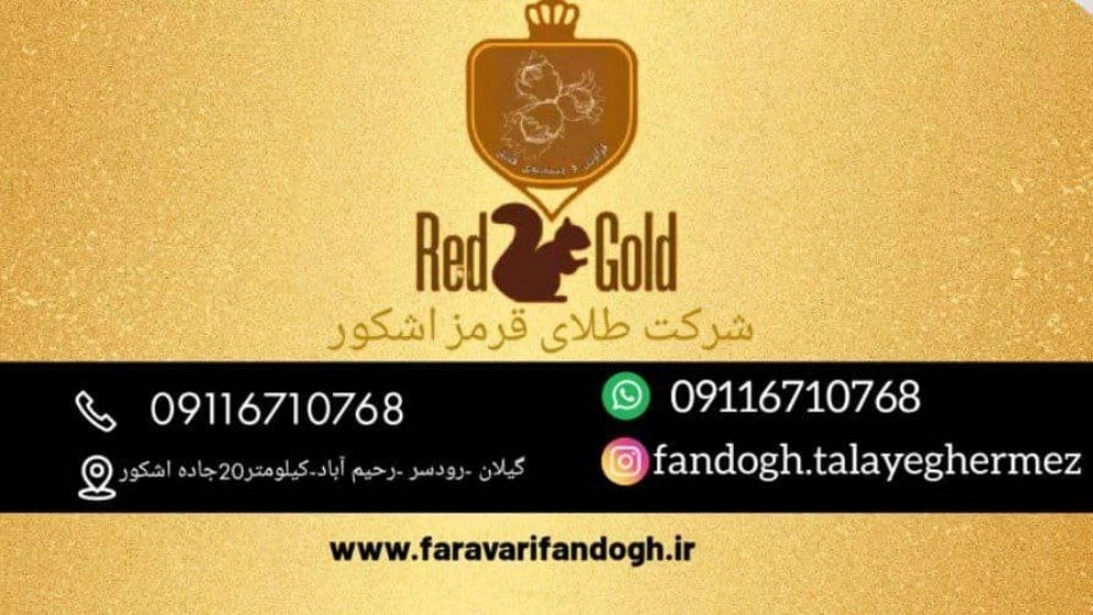 فراوری فندق در گیلان