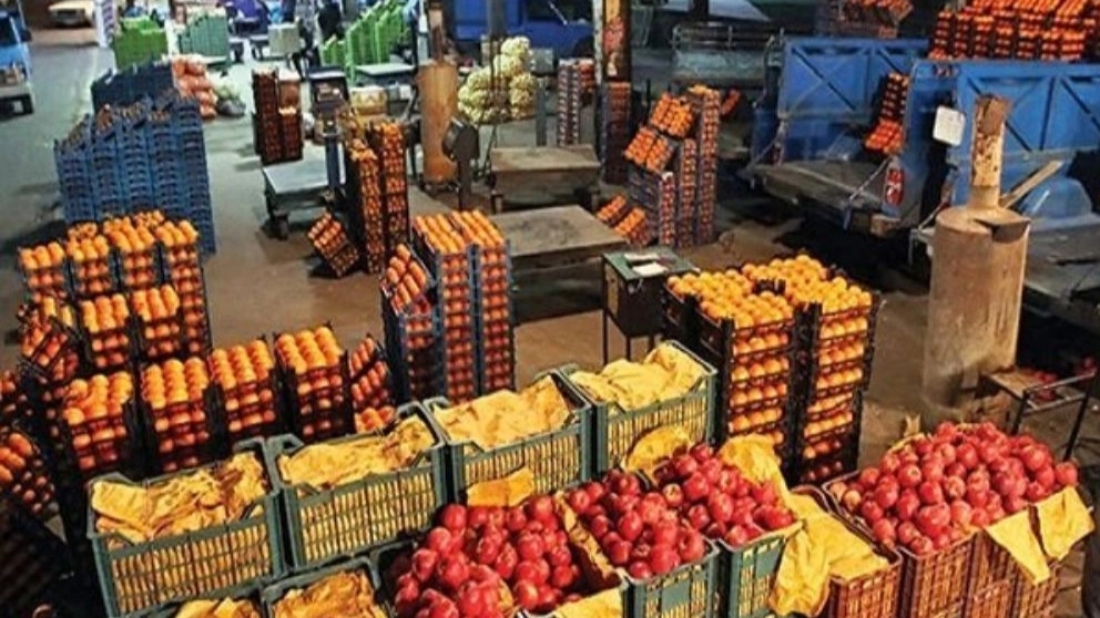 بهترین میوه صادراتی کدام است؟