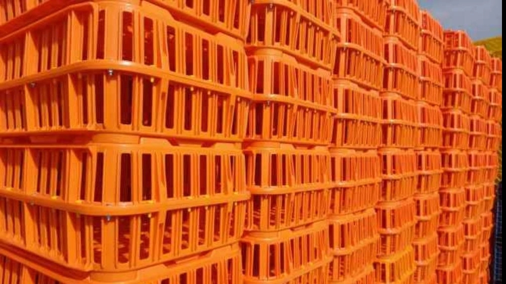 شرکت مروارید پلاستیک یزد، تولید سبد پلاستیکی حمل مرغ و سبد ماستی در یزد