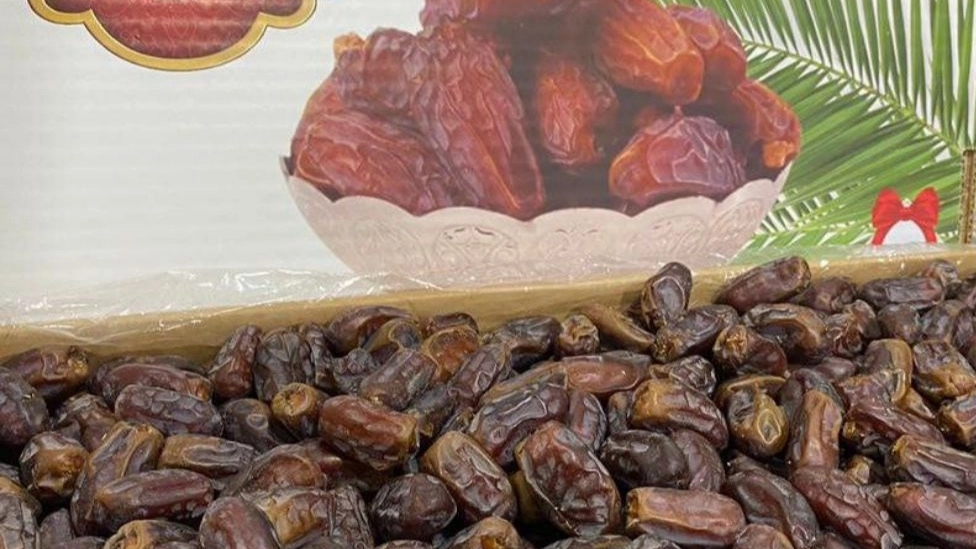 کارگاه بسته بندی عامری