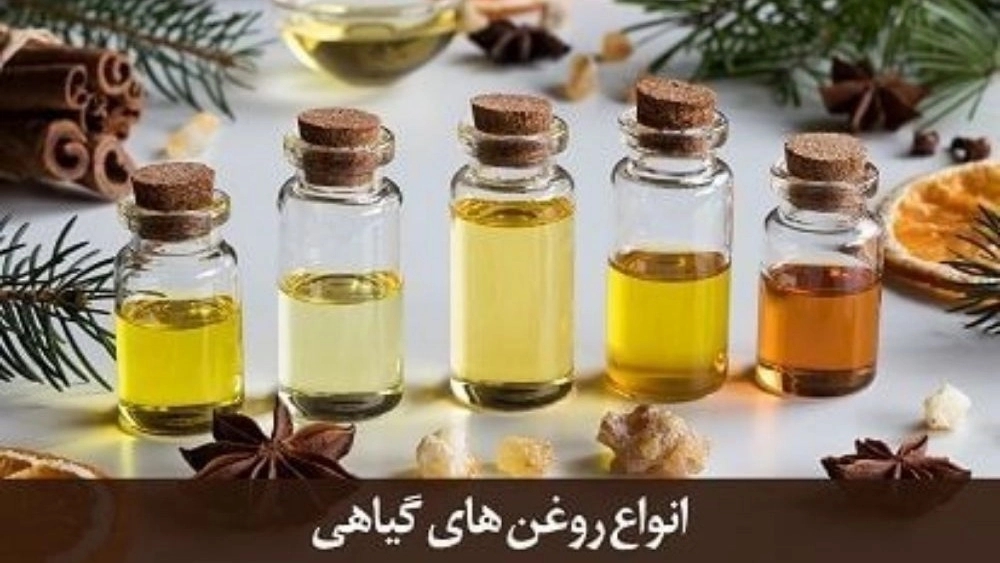 تولیدی بیست بیست، پخش روغن و دانه های گیاهی در تهران