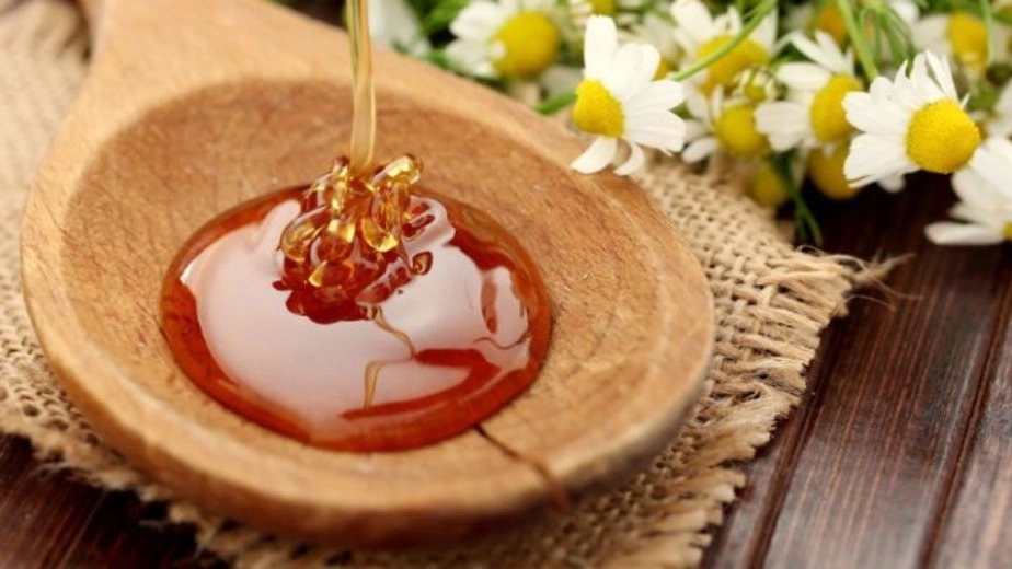 فروش عمده و صادرات عسل ماکونا ارگانیک