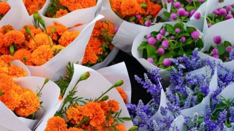 شهرگل محلاتی، فروش انواع تاج گل باکس زینتی آپارتمانی در بازار محلاتی تهران
