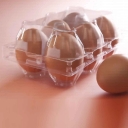 فروشگاه افتخاری، فروش ظروف بسته بندی تخم مرغ در تهران
