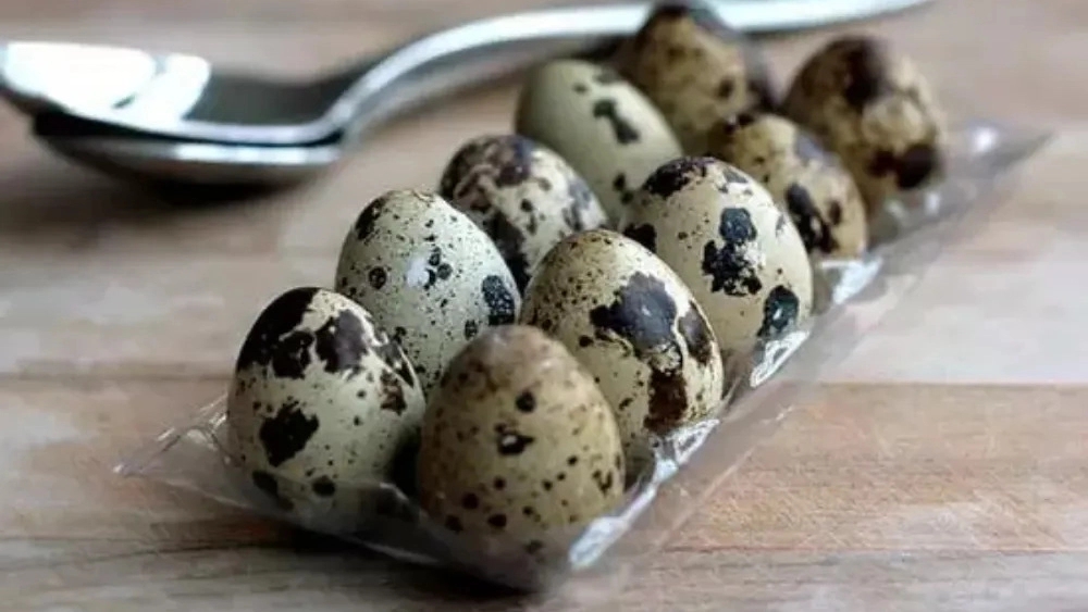 انواع بسته بندی تخم مرغ