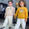 تولیدی پوشاک بچگانه هستی در گلستان