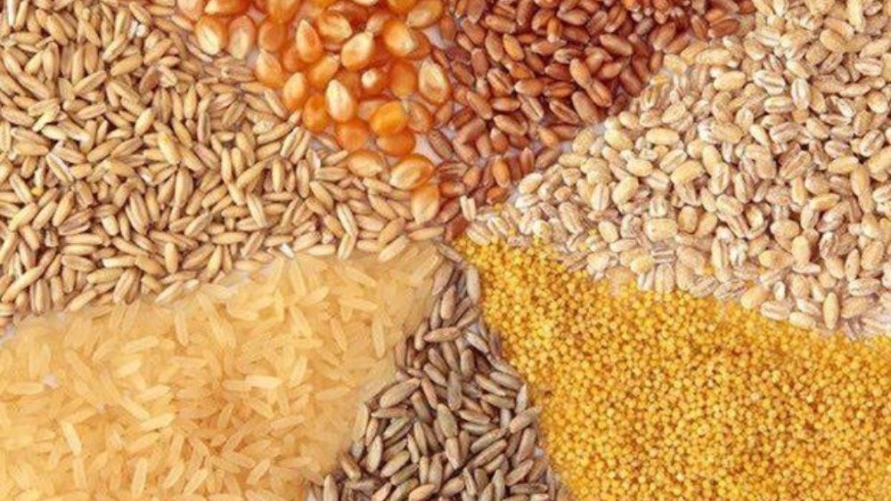 نهاده های دامی چیست ؟