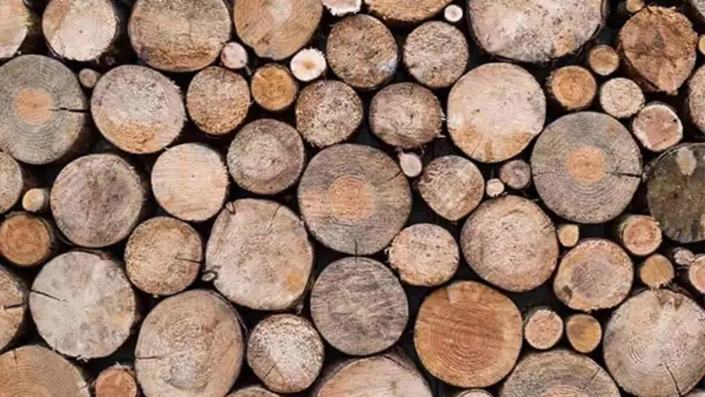 چوب روسی و کاربرد های آن در نماسازان تابش