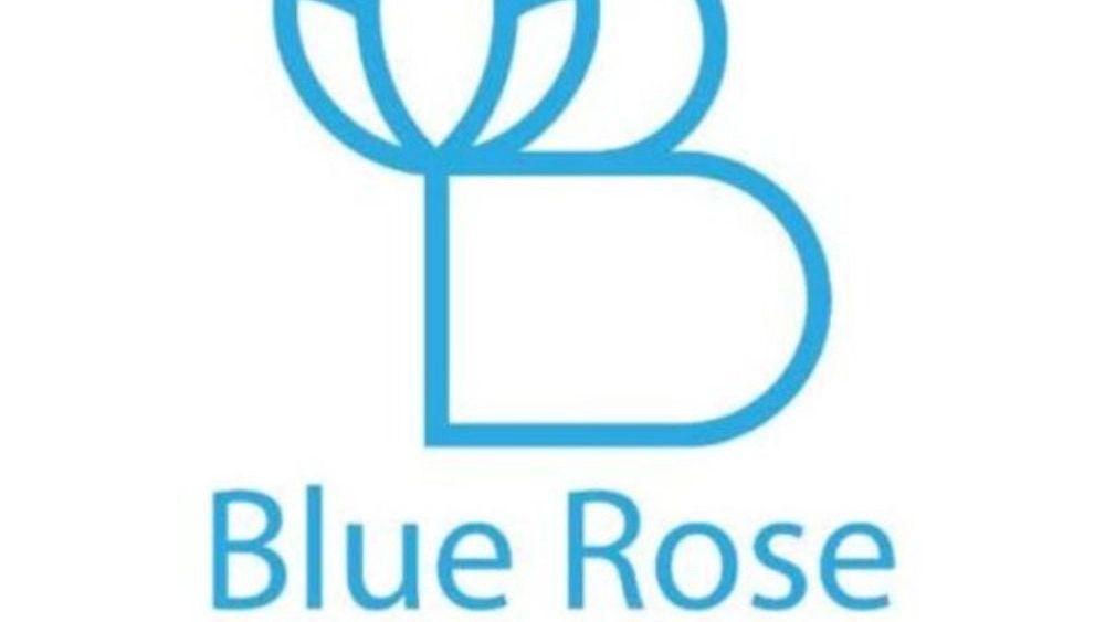 خوشخواب blue rose، تولید خوشخواب طبی و فنری  در اراک