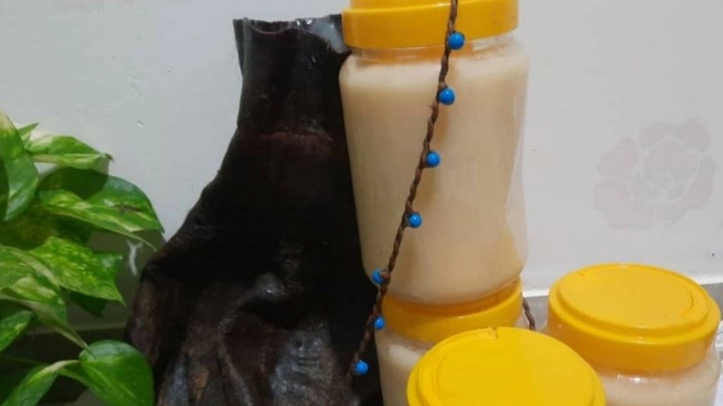 قیمت روغن حیوانی کرمانشاهی _ یکتا لبن