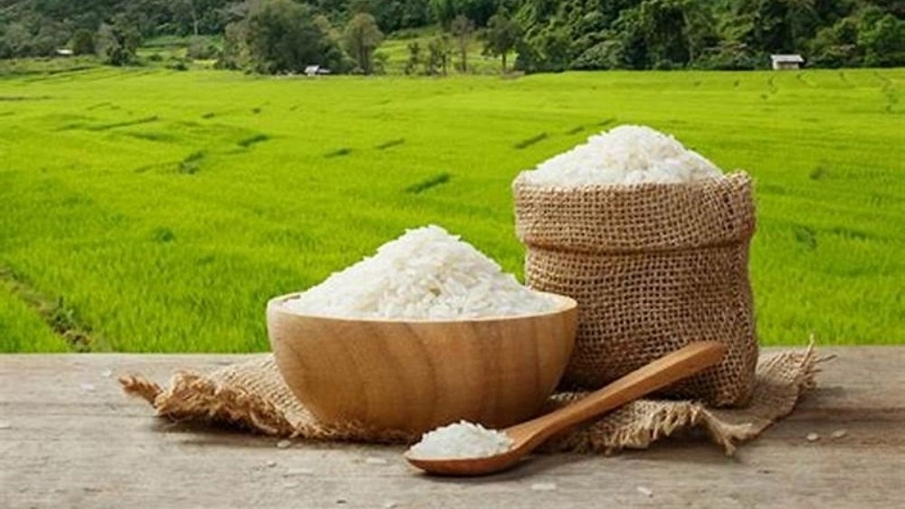 فروش برنج در صومعه سرا