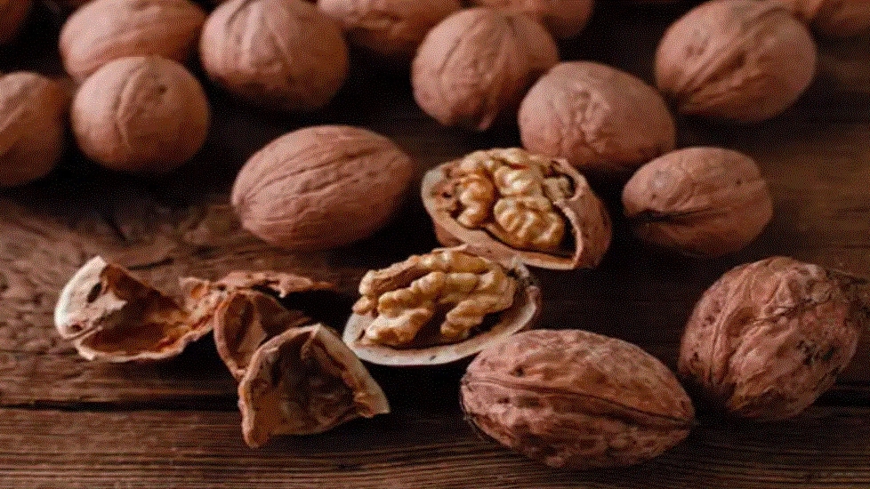 خرید گردو مرغوب از آجیل امید