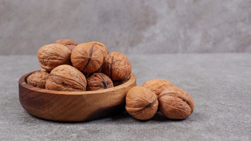 خرید گردو مرغوب از آجیل امید