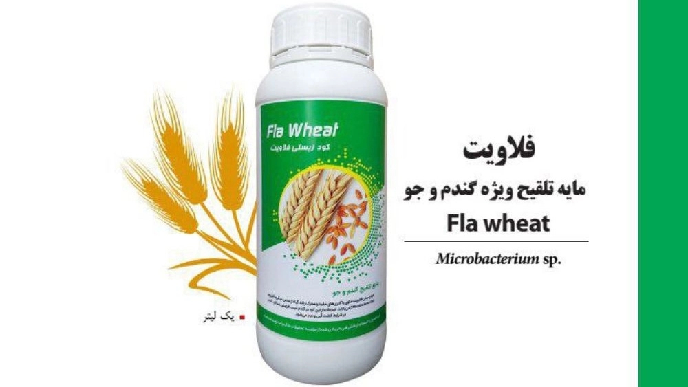 فروش عمده و صادرات کود زیستى فلاویت