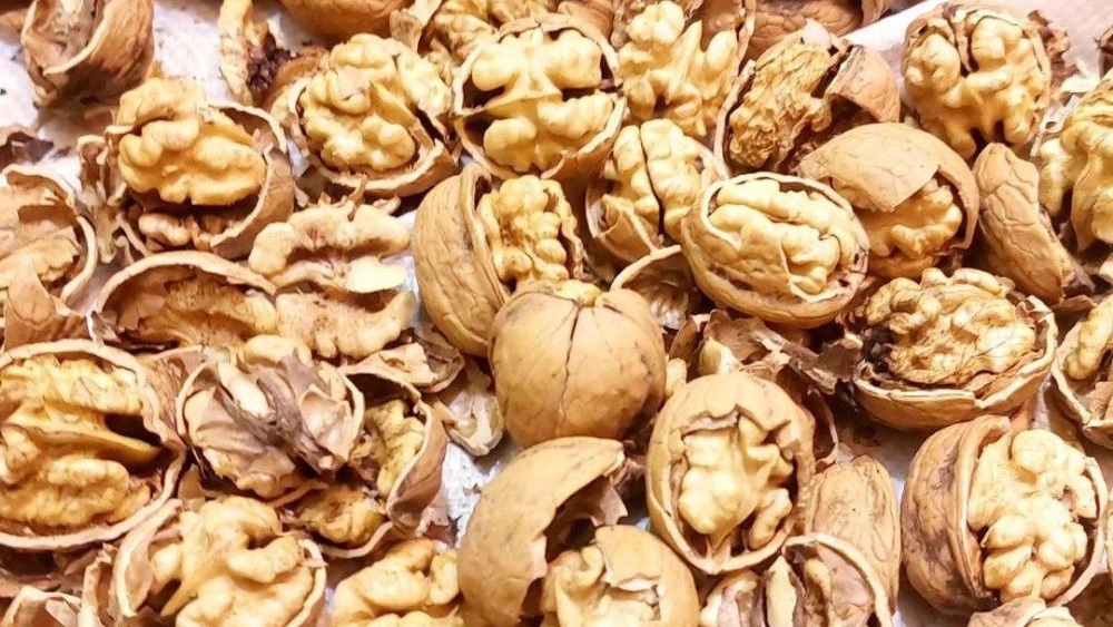 گردولند، عرضه خشکبار آجیل گردو و عسل در اراک