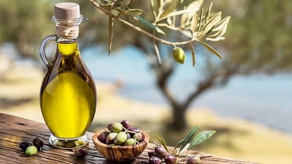 خواص روغن زیتون ارگانیک