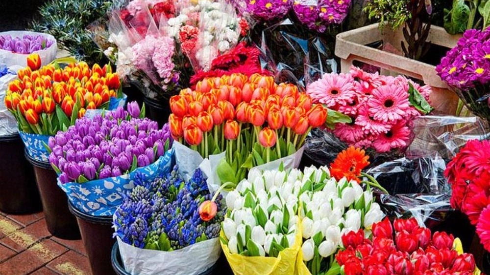 گل فروشی مطهره، فروش انواع گل طبیعی در رشت