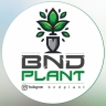 BNDPlant، فروش گیاهان آپارتمانی گلدان در بندرعباس