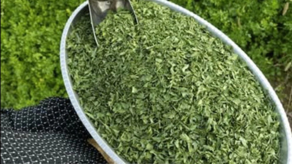 فروش سبزیجات خشک در داراب فارس